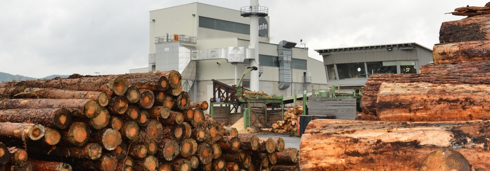 ante ist eines der führenden familiengeführten Holzindustrieunternehmen Europas mit Standort in Sachsen-Anhalt. 